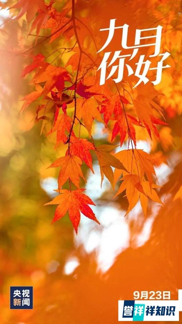 金秋九月，这些日子值得关注.