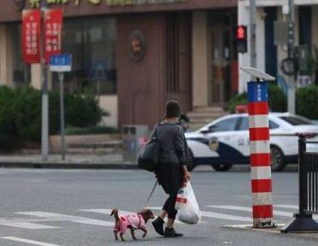 红色电话亭女士：会在上海加油，关于她的故事你了解多少