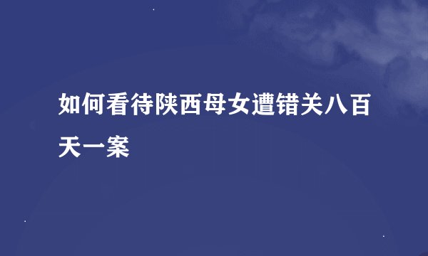 如何看待陕西母女遭错关八百天一案