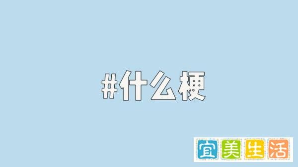 “已读乱回”是什么梗？