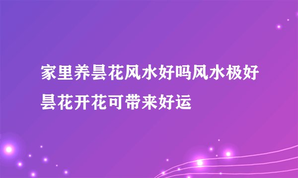 家里养昙花风水好吗风水极好昙花开花可带来好运