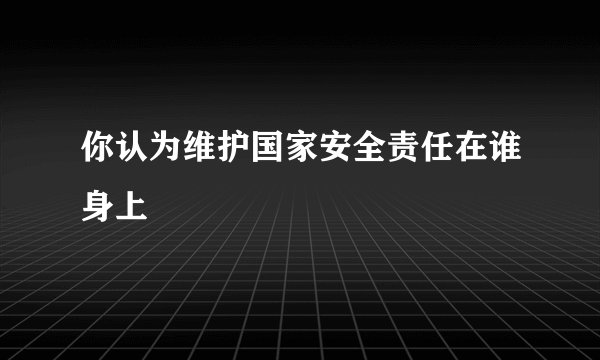 你认为维护国家安全责任在谁身上