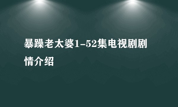暴躁老太婆1-52集电视剧剧情介绍