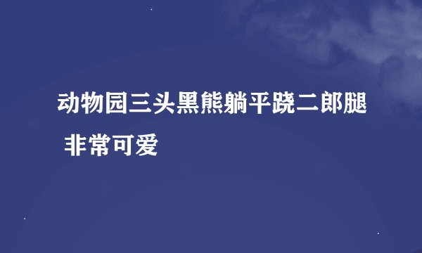 动物园三头黑熊躺平跷二郎腿 非常可爱