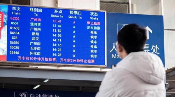 趣说春运返程：狗子在高速被堵到生下一窝狗崽！