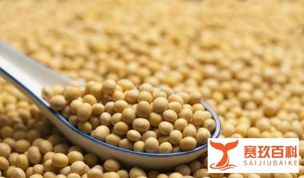 反食品浪费法草案将提请审议，三大方面具有非常重要的意义