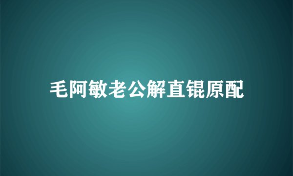毛阿敏老公解直锟原配