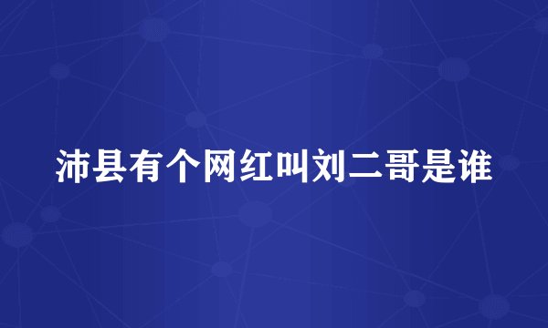 沛县有个网红叫刘二哥是谁