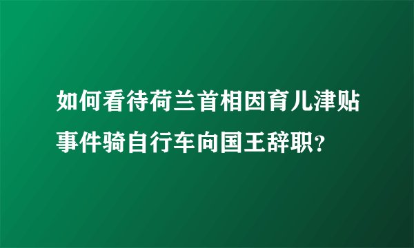 如何看待荷兰首相因育儿津贴事件骑自行车向国王辞职？