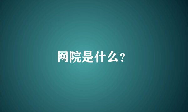 网院是什么？