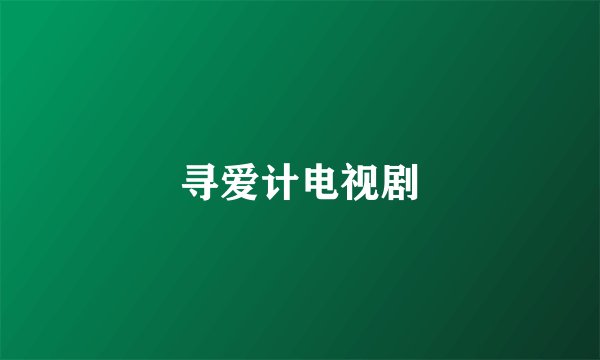 寻爱计电视剧