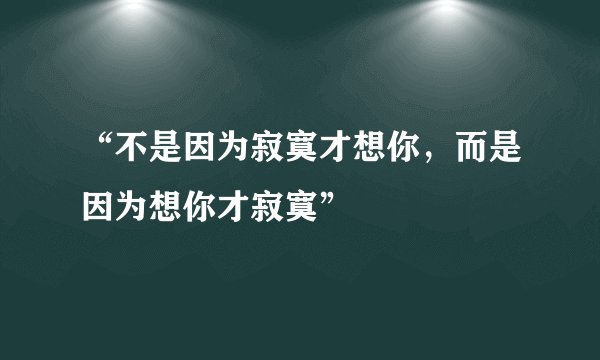 “不是因为寂寞才想你，而是因为想你才寂寞”