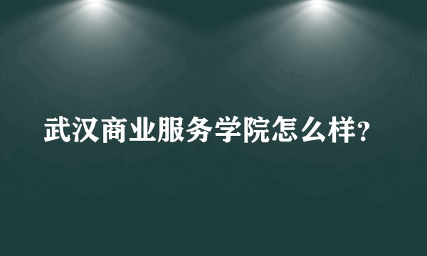 武汉商业服务学院怎么样？