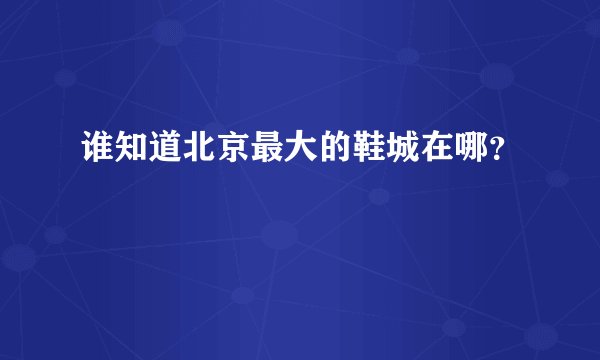 谁知道北京最大的鞋城在哪？