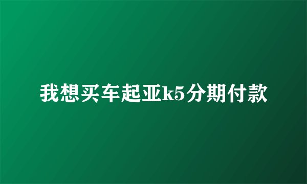 我想买车起亚k5分期付款