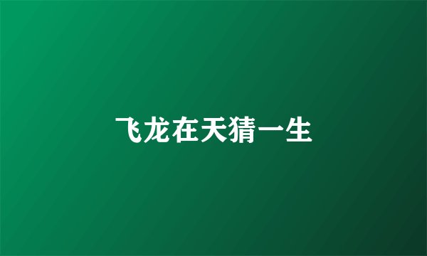 飞龙在天猜一生