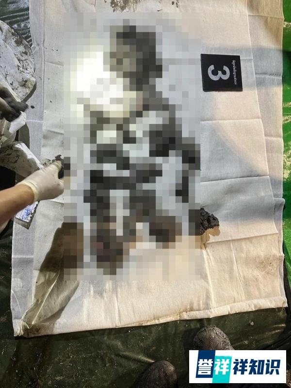 泰国小型飞机失事乘客名单公布含5名中国籍