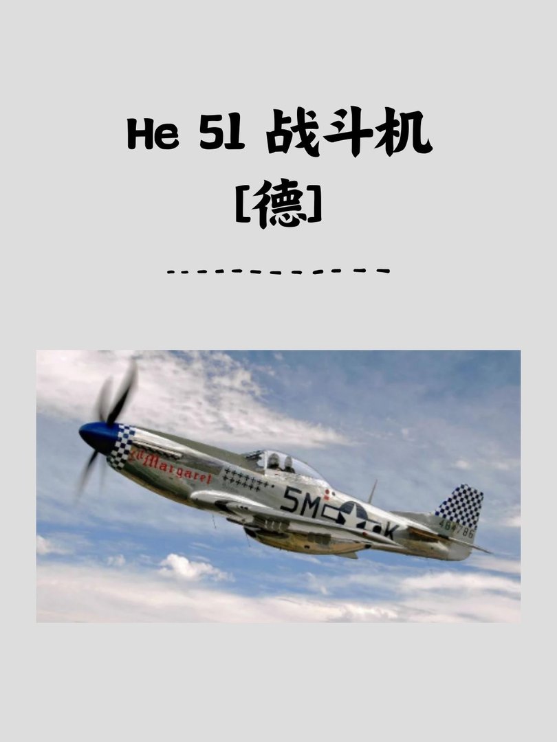 He 51 战斗机[德]