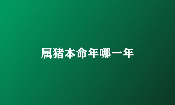 属猪本命年哪一年