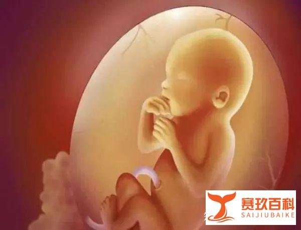 5年500亿，湖南为何突然叫停槟榔广告？槟榔致癌、致肥胖需要了解