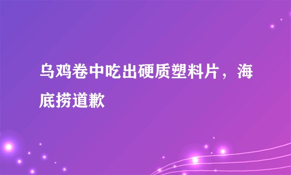 乌鸡卷中吃出硬质塑料片，海底捞道歉