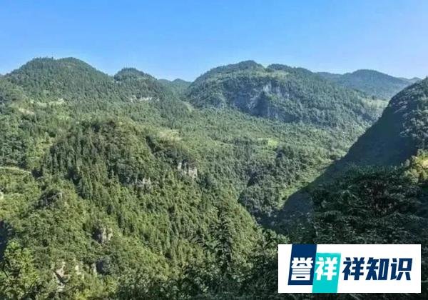 乐山枪声，3死2伤：婚外情究竟有多毁人！
