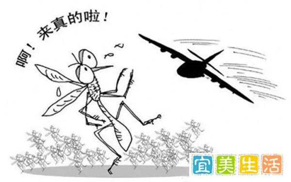 美国将放24亿只转基因蚊子，科学家：巴西曾孕育出超级蚊子