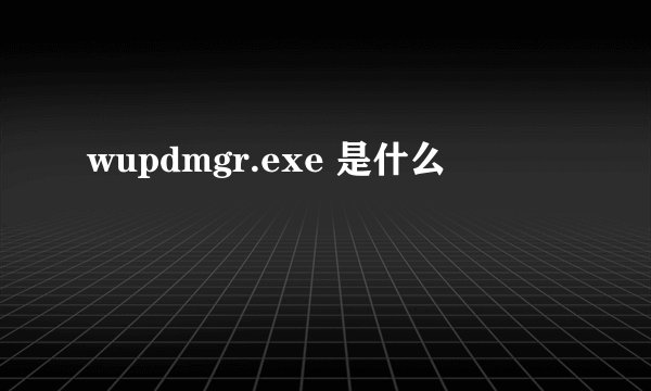 wupdmgr.exe 是什么