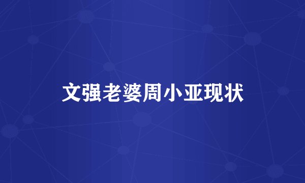 文强老婆周小亚现状