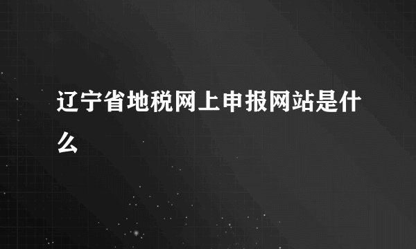 辽宁省地税网上申报网站是什么