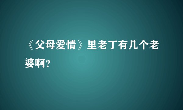 《父母爱情》里老丁有几个老婆啊？