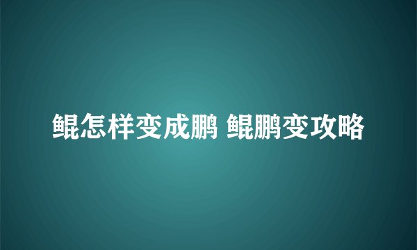 鲲怎样变成鹏 鲲鹏变攻略