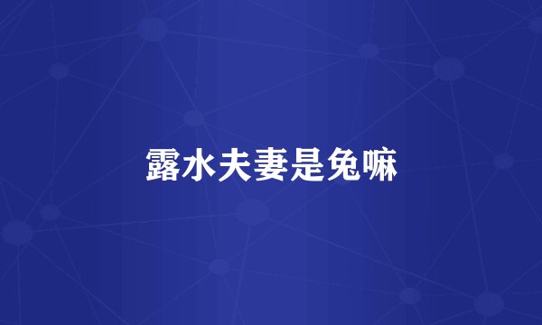 露水夫妻是兔嘛