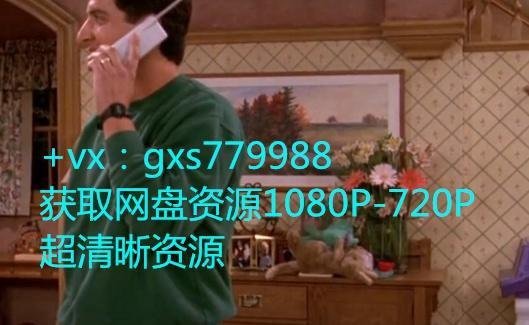 人人都爱雷蒙德百度网盘资源-人人都爱雷蒙德1080P资源下载