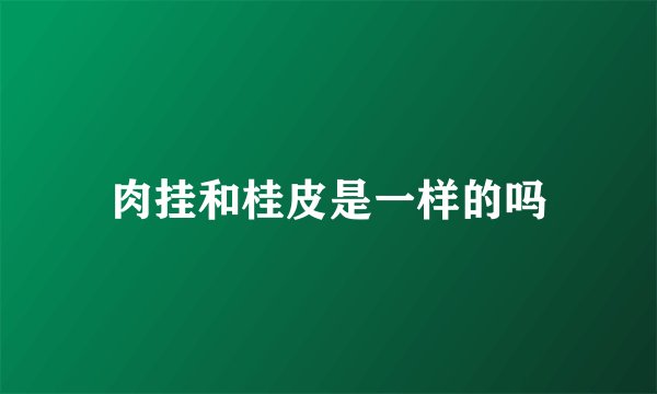 肉挂和桂皮是一样的吗