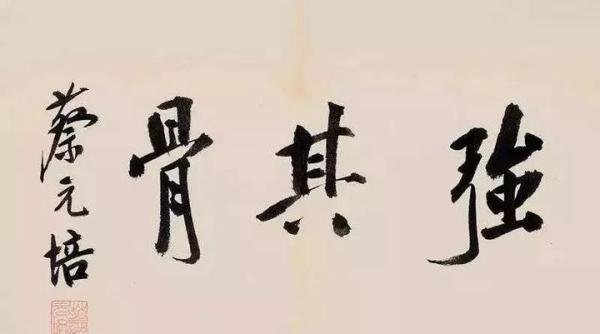 白岩松：体育凭什么排在「四育之首」？