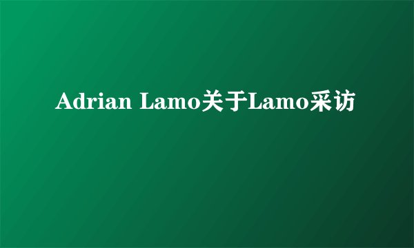 Adrian Lamo关于Lamo采访