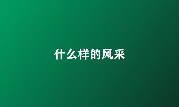 什么样的风采