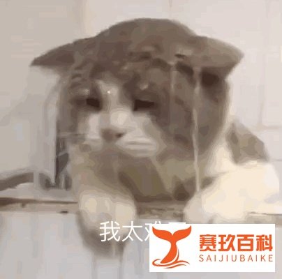 《淘宝十年产品事》有感(一)