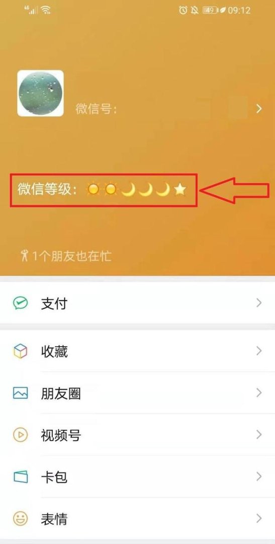 微信怎么显示等级
