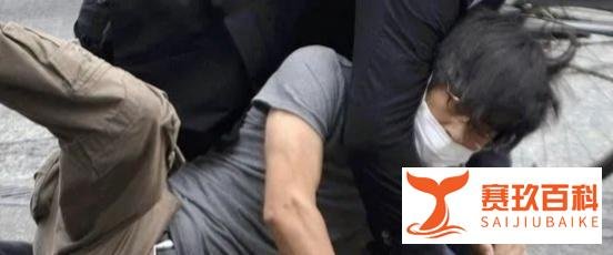 山上彻也为何要枪杀安倍晋三?