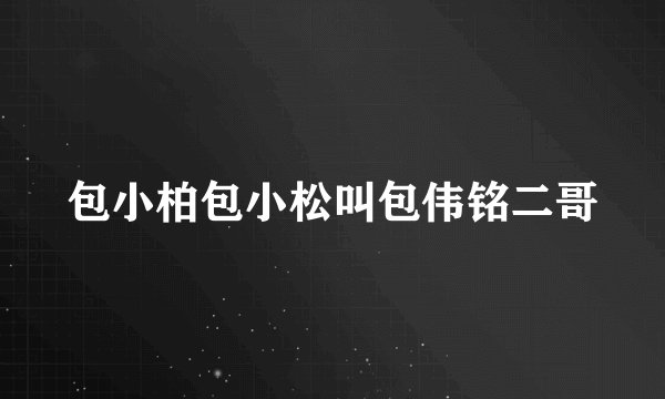 包小柏包小松叫包伟铭二哥