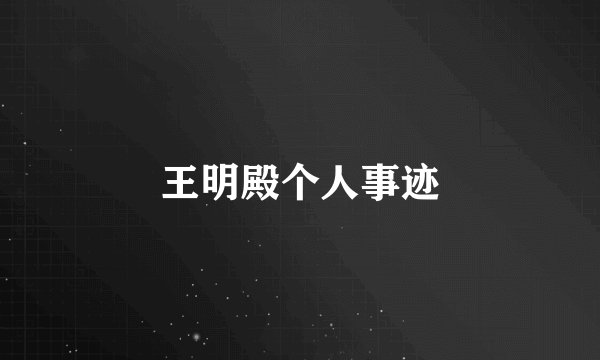 王明殿个人事迹