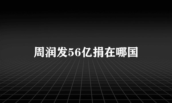 周润发56亿捐在哪国