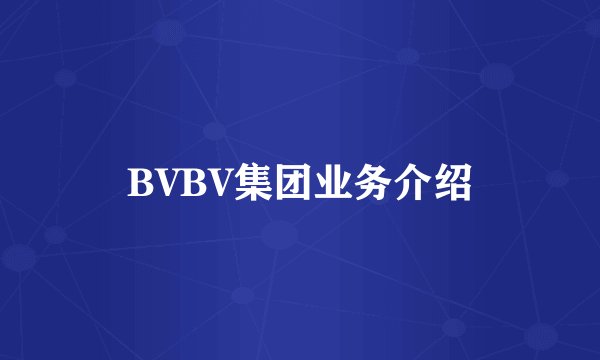 BVBV集团业务介绍