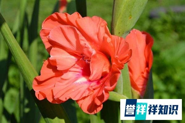 古建中国色，你认识几个（上）