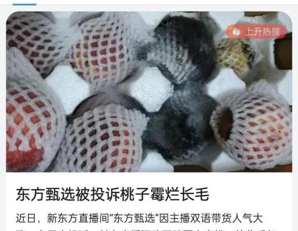 东方甄选被投诉桃子霉烂长毛