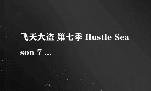 飞天大盗 第七季 Hustle Season 7 (2011)全集未删减高清版免费下载