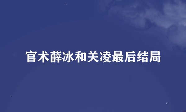 官术薛冰和关凌最后结局