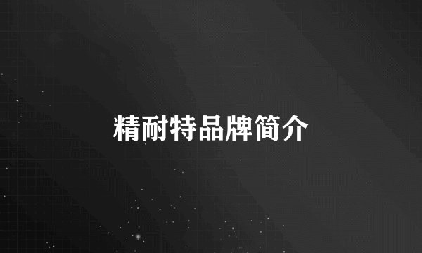 精耐特品牌简介